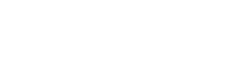 Funksjon i fokus